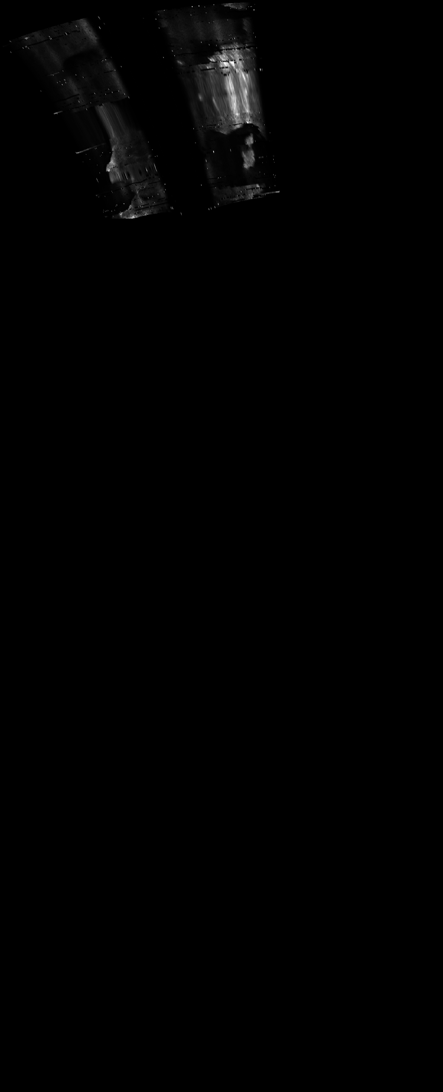 ascat_grayscale_proj_downward.png